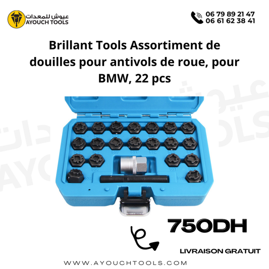 Brillant Tools Assortiment de douilles pour antivols de roue BMW 22Pcs