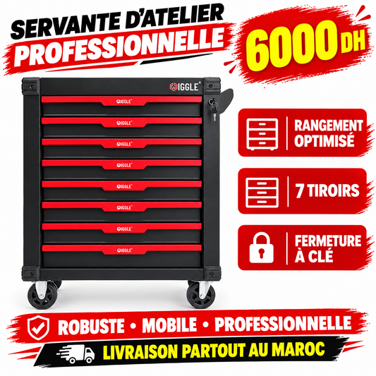 SEVANTE 369 PIECES WIGGLE WSJ-0702 ROUGE