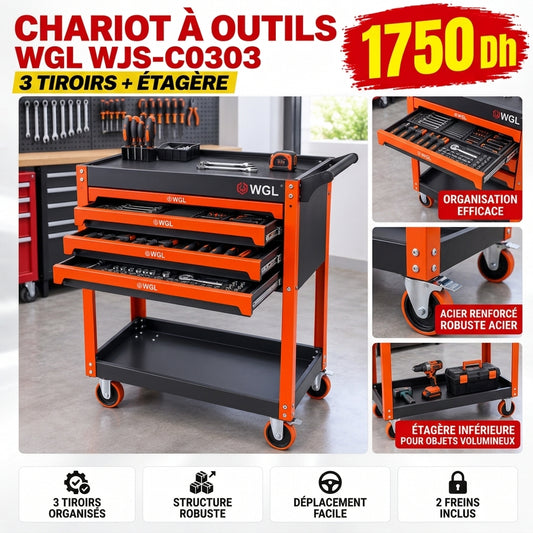 CHARIOT A OUTILS 3 TEROIRE WGL  WJS-C0303