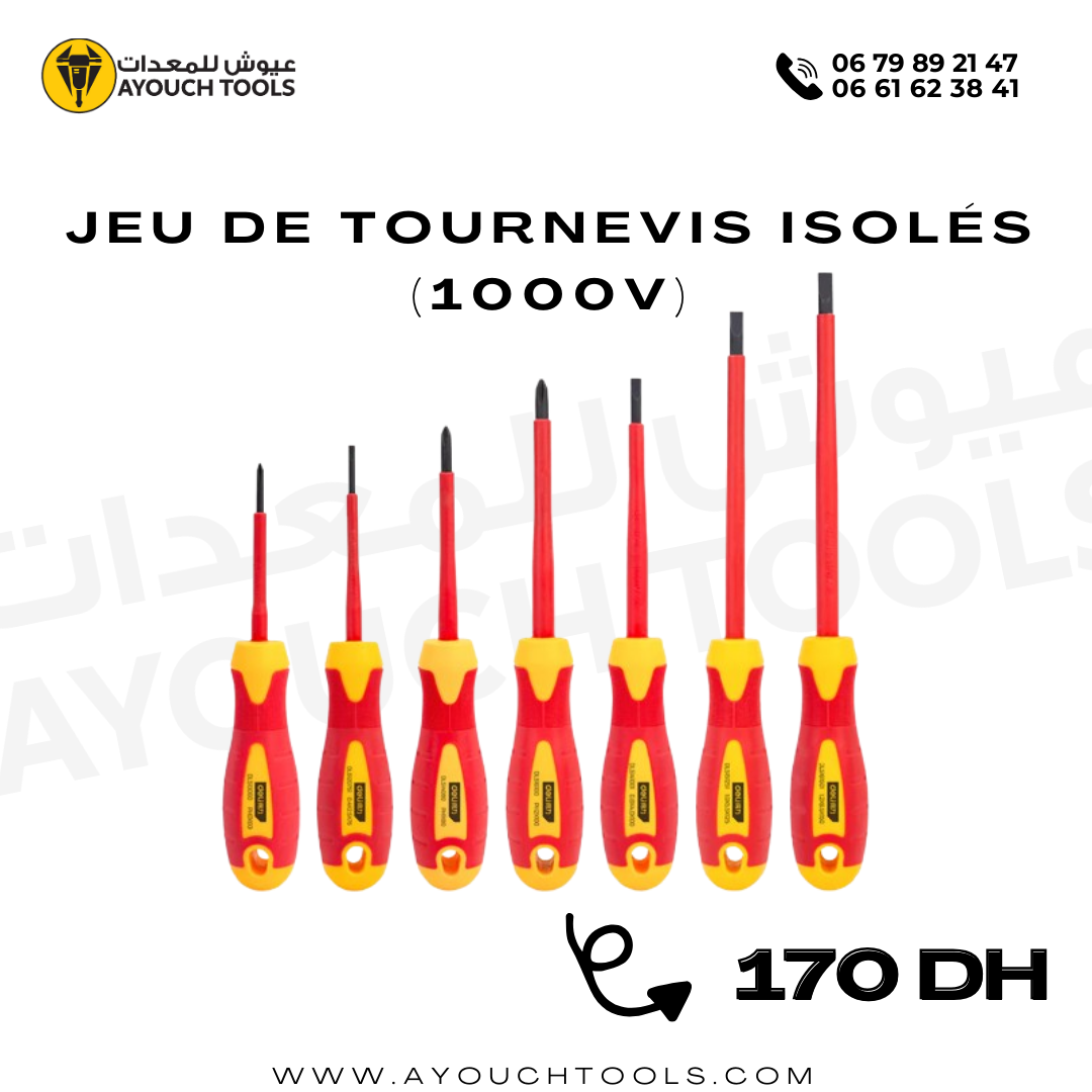Jeu de tournevis isolés 6 pcs (1000V)